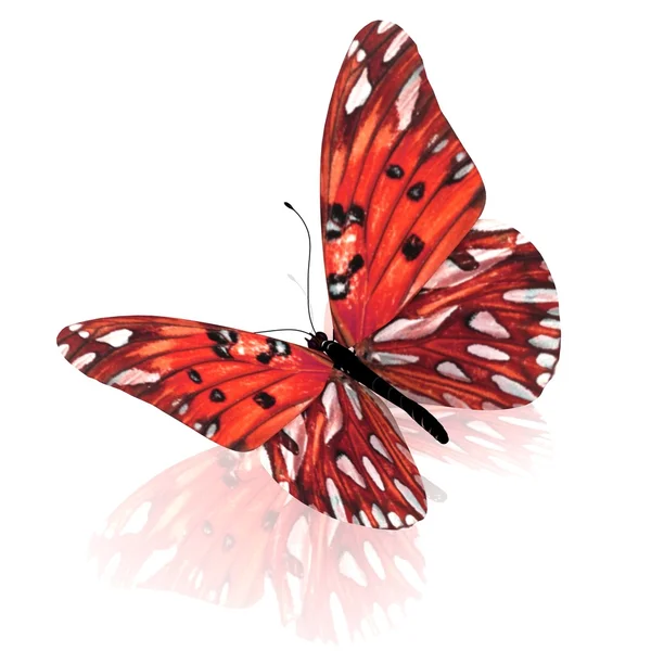 Butterfly. — Stock Photo, Image