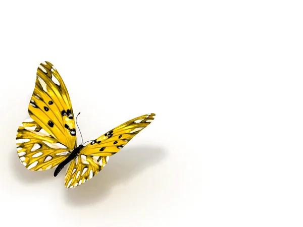 Farfalla 3D isolata su bianco . — Foto Stock