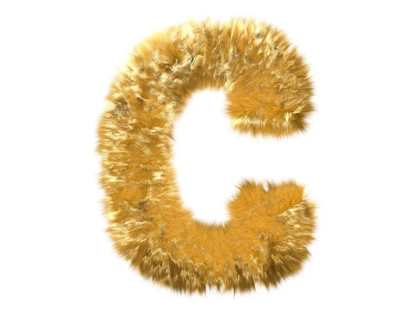 Carta C do alfabeto da raposa peluda — Fotografia de Stock
