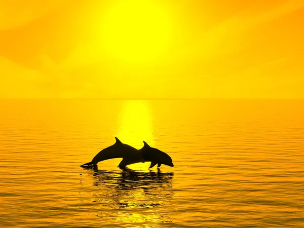 stock image Two dolphins floating at ocean on sunset