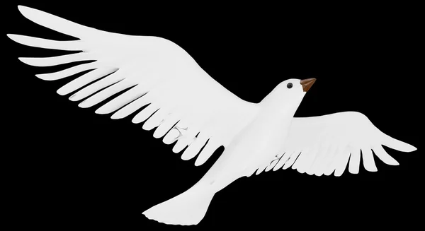 Een vrije vliegende witte duif geïsoleerd op zwarte achtergrond. — Stockfoto