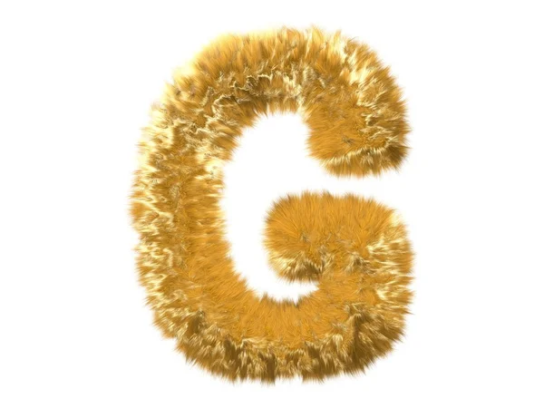 Carta G do alfabeto da raposa peluda — Fotografia de Stock