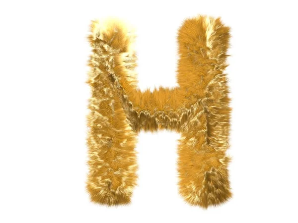 Carta H do alfabeto de raposa de pele — Fotografia de Stock