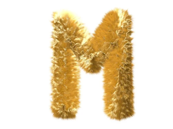 Carta M do alfabeto da raposa peluda — Fotografia de Stock