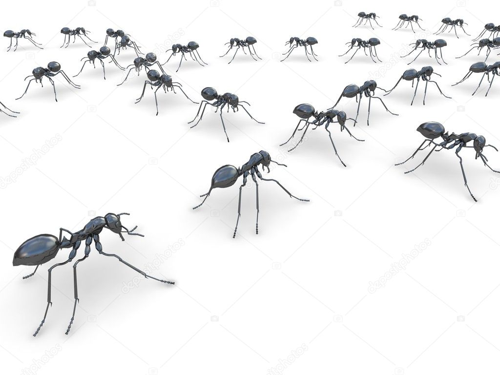 Group of insects, ants, in a line on the floor, on white isolated background