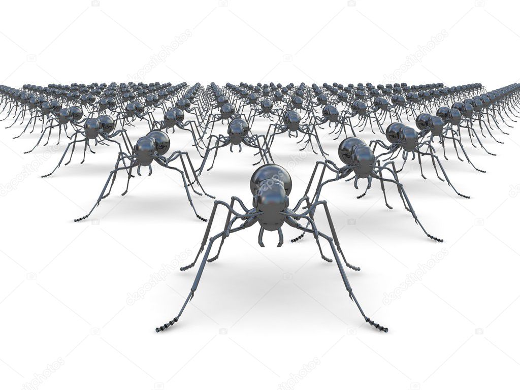 Wedge form Army of ants on white isolated background