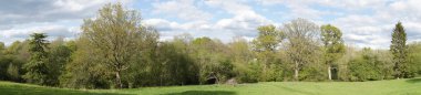 Panoramic view of Trees in spring clipart