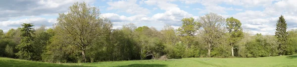 stock image Panoramic view of Trees in spring