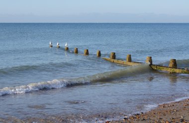 İngilizce beach