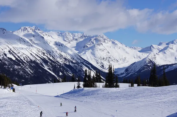 Skiën beneden piste — Stockfoto