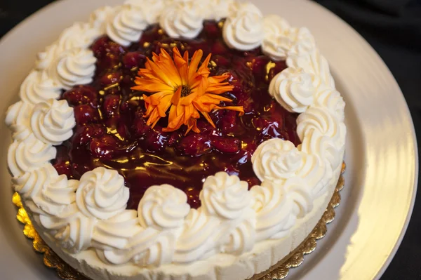 Cheesecake com molho de cereja — Fotografia de Stock