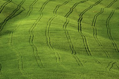 Fields lined with tractor tire tracks clipart