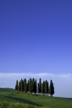 servi ağaçlarının ridge, İtalya