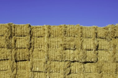 Stacked hay bales clipart