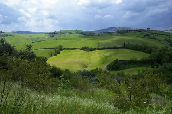 Stock image Tuscany fields