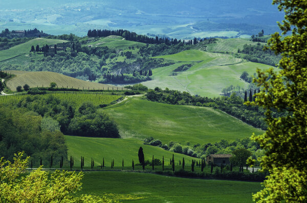 Rural countryside landscape in Tuscany region of Italy.
