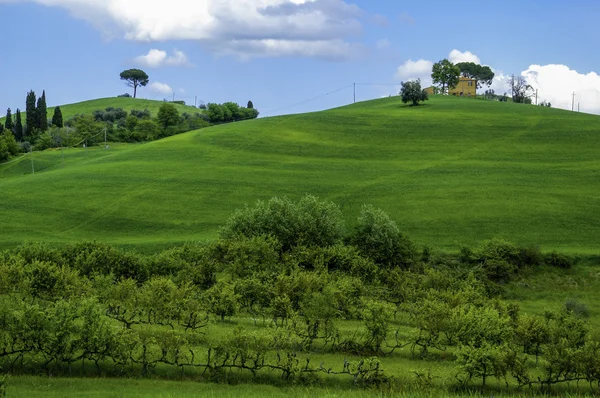 Granja italiana — Foto de Stock