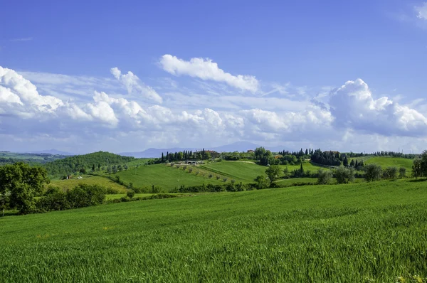 Italiaanse velden — Stockfoto