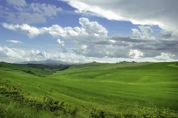 Italian fields — Stock Photo, Image