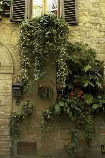 Doorway garden, aldeia italiana — Fotografia de Stock