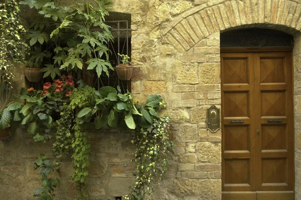 Doorway garden, Italian village — Stock Photo, Image
