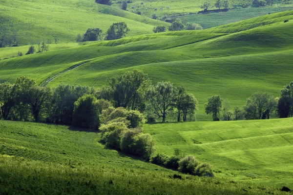Włoski pola — Zdjęcie stockowe