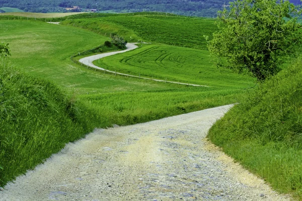Estrada de cascalho através da Toscana — Fotografia de Stock