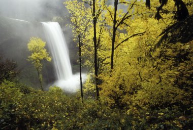 Autumn Waterfalls clipart