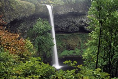 Beautiful waterfalls clipart