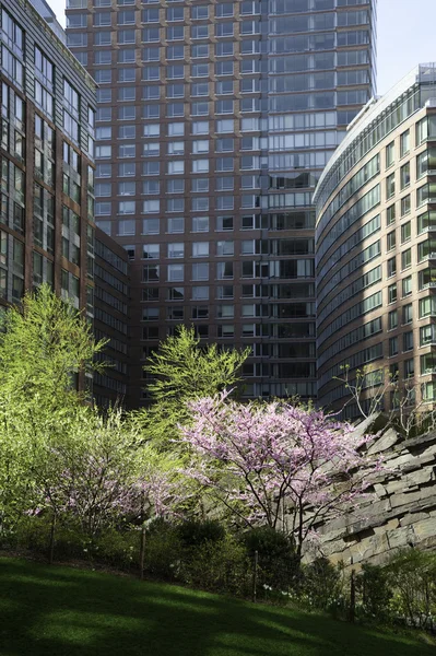 정원 공간을 가진 현대 주거 아파트 — 스톡 사진
