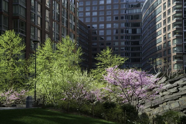 Moderna bostäder lägenheter med trädgården utrymme — Stockfoto