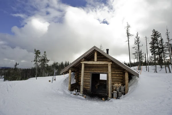 Snöhytt — Stockfoto