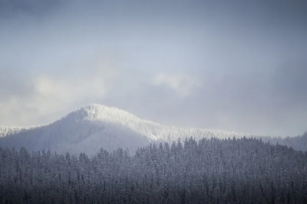 白雪皑皑的冬天山 — 图库照片