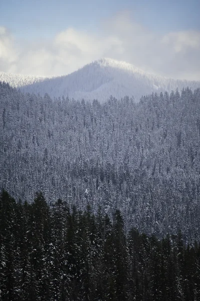 눈 덮인 겨울 언덕 — 스톡 사진