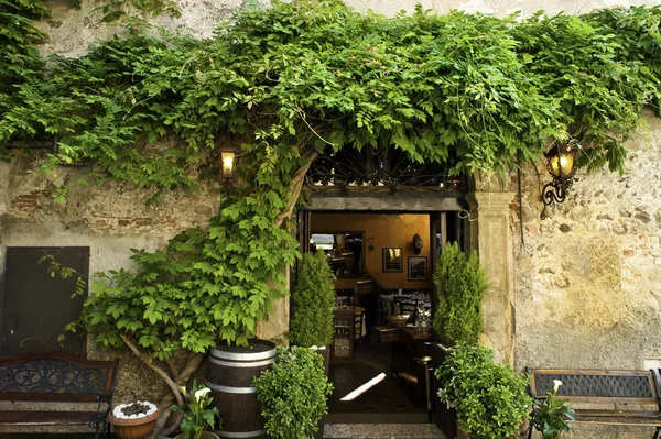 Wistárie a zahradní terasu, verona, Itálie — Stock fotografie