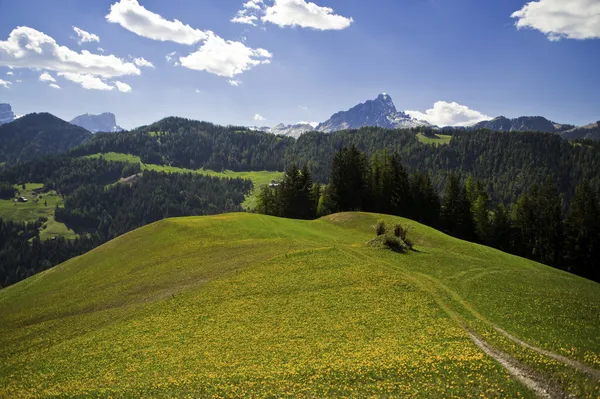 イタリア北部のドロミテ山脈で春の牧草地します。 — ストック写真