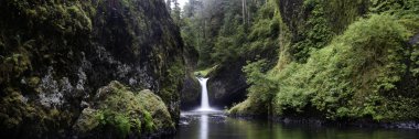 Punchbowl düşer, columbia river gorge