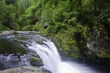 alt punchbowl düşer, columbia river gorge