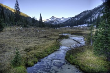 Creek, Wallowa Mountains, Oregon clipart