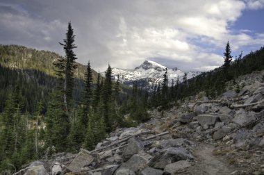 Trail, Wallowa Mountains, Oregon clipart