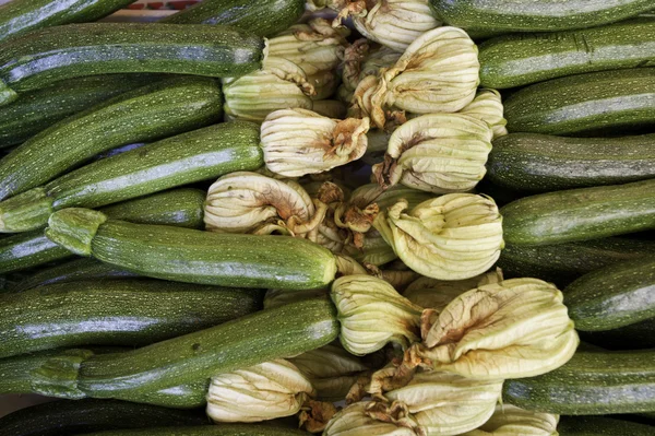 stock image Zucchinis and flowers