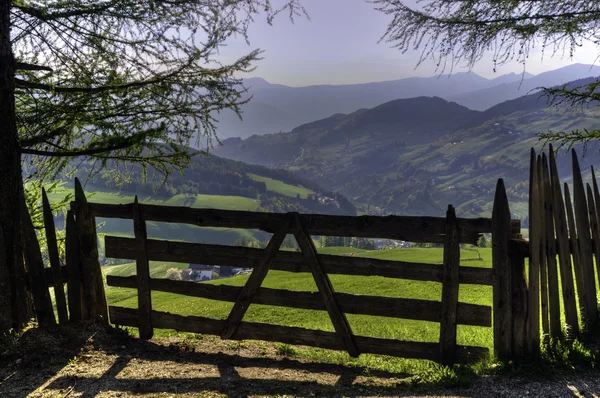 Деревянные ворота в поле — стоковое фото