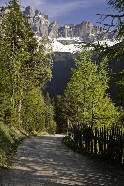 İtalyan Alplerinde yol — Stok fotoğraf