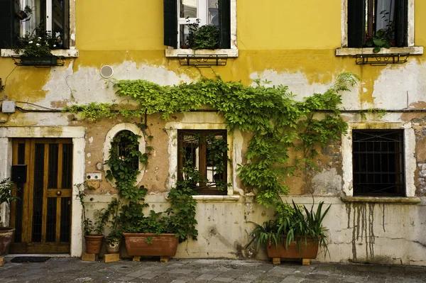 Süslü posta yuvası, Venedik, İtalya — Stok fotoğraf