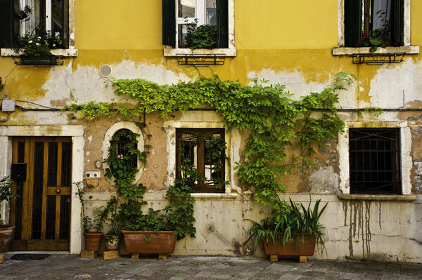 Yellow apartment building, Venice, Italy, with vine climbing wall