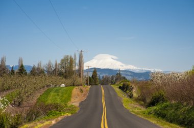 kırsal road, mt. adams