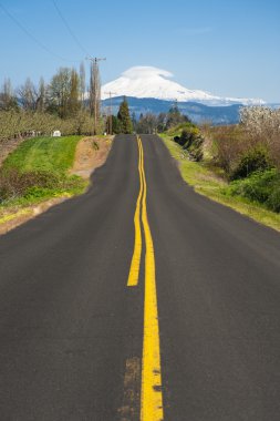 Rural road, Mt. Adams clipart