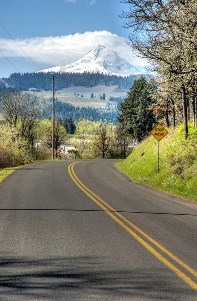 Rural road, apple orchards, Mt. Hood — Stock Photo, Image