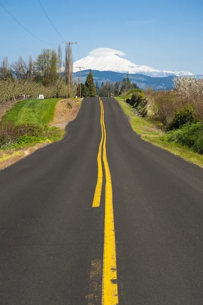 Rural road, Mt. Adams — Stock Photo, Image