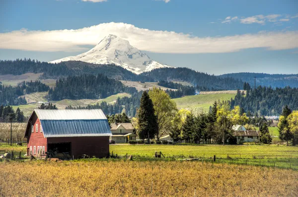 Red barn, apple orchards, Mt. Hood — Stock Photo, Image